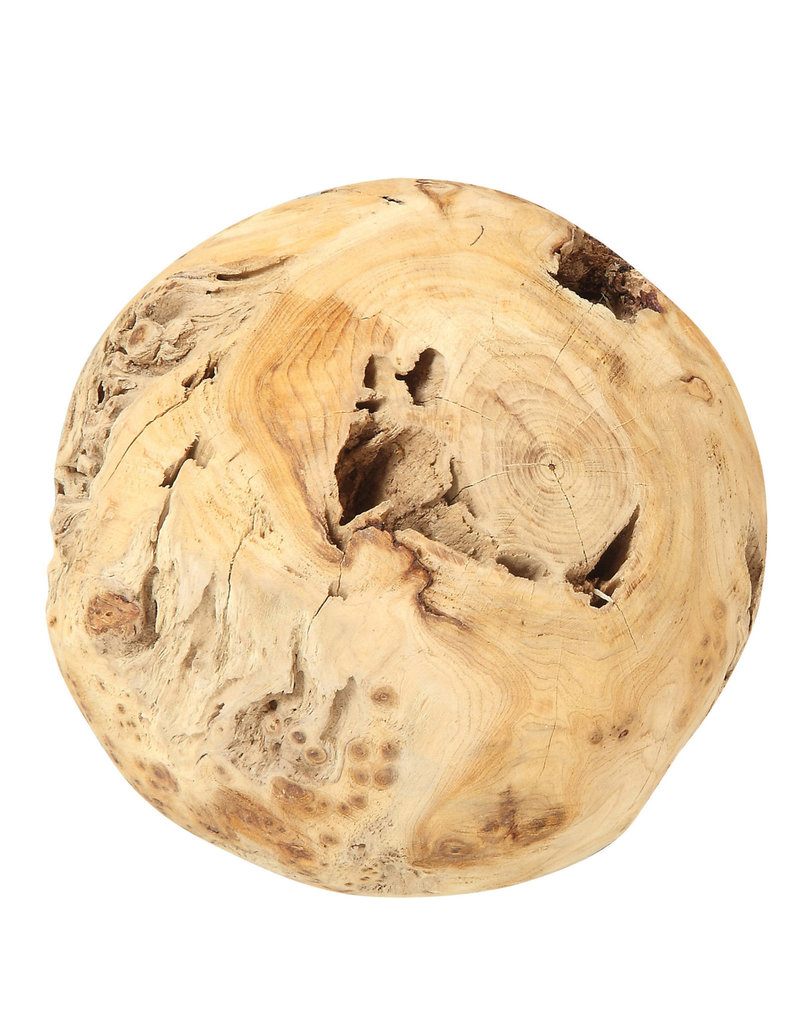 6" Round Fir Root Orb