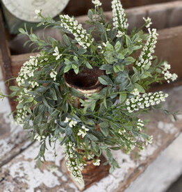 Sweetspire Candle Ring