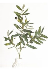 30"Olive Spray