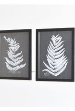 Black and White Fern Wall Decor, 2 Asst.