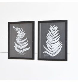 Black and White Fern Wall Decor, 2 Asst.