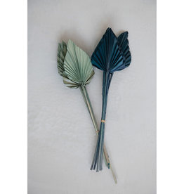 18" Dried Palm Spear Bundle of 5