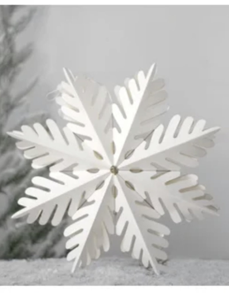 Paper Snowflake