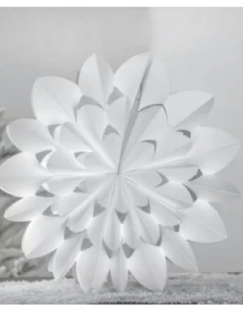 Paper Snowflake