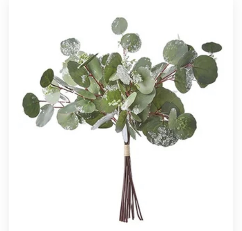Frosted Eucalyptus Bundle Rustic Roots