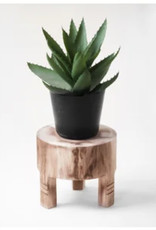 8" CARVED WOOD PLANT STOOL
