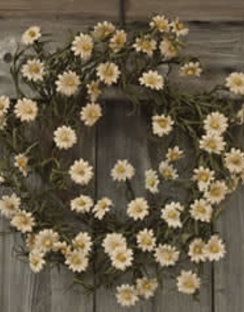 Teastain Daisy Wreath - 18"
