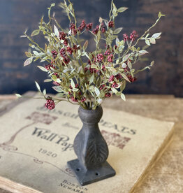 13" Hasp Berry Bush, Dark Red