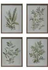 Wood Framed Wall Decor w/ Botanical Print