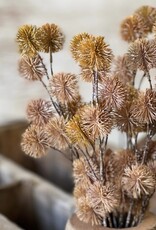 16.5" Urchin Buds