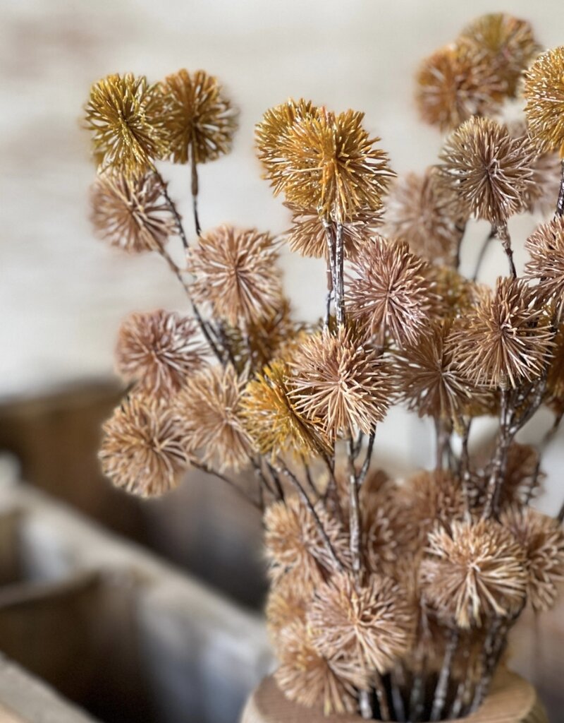 16.5" Urchin Buds