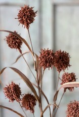 Halley Buds Spray (Orange)