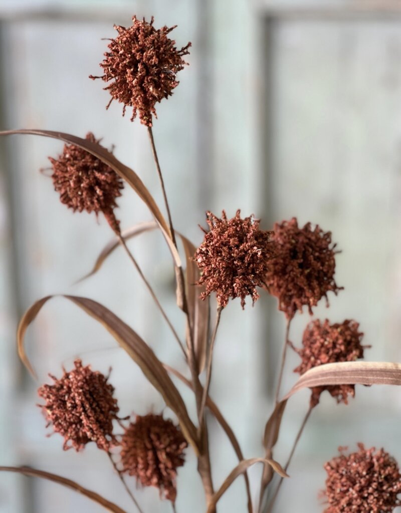 Halley Buds Spray (Orange)