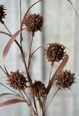 Halley Buds Spray (Brown) 28"