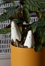 Casper Plant Stick