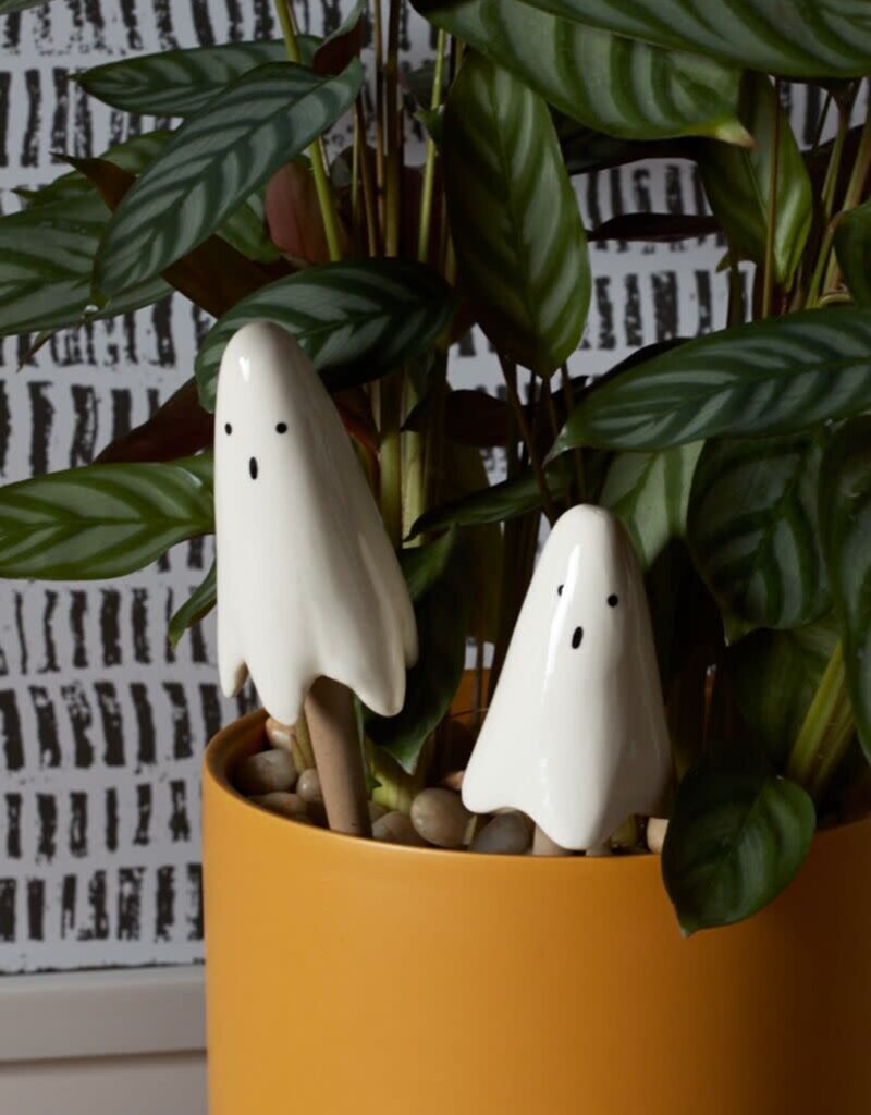 Casper Plant Stick