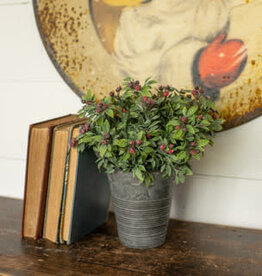 12" Pea Leaf W/Berries Bush