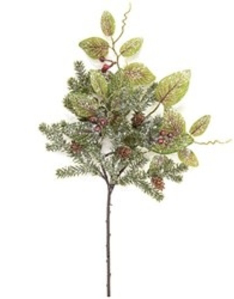 Snowy Fittonia, Pine & Berries Pick, 15"