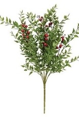 Lady Ruscus & Berries Bush, 12"