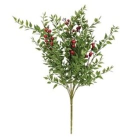 Lady Ruscus & Berries Bush, 12"