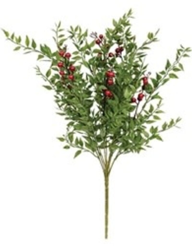 Lady Ruscus & Berries Bush, 12"