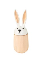 Hop-A-Long Bunny