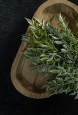 Soft Green Tea Leaf Bush