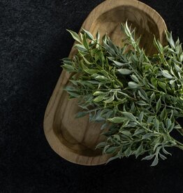 Soft Green Tea Leaf Bush