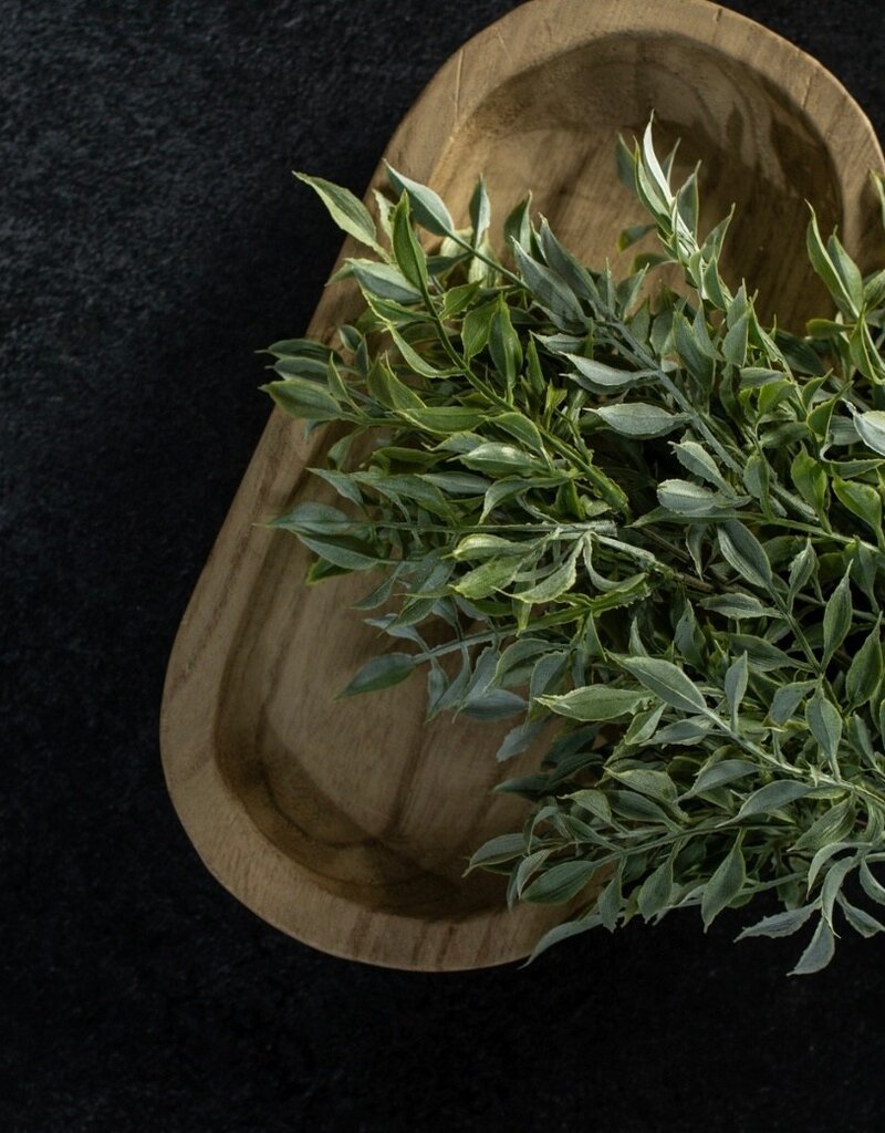 Soft Green Tea Leaf Bush