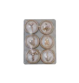 Magnets on Metal Card with Botanicals, Set of 6
