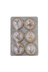 Magnets on Metal Card with Botanicals, Set of 6