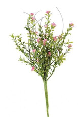 Bayberry Bush, 16"