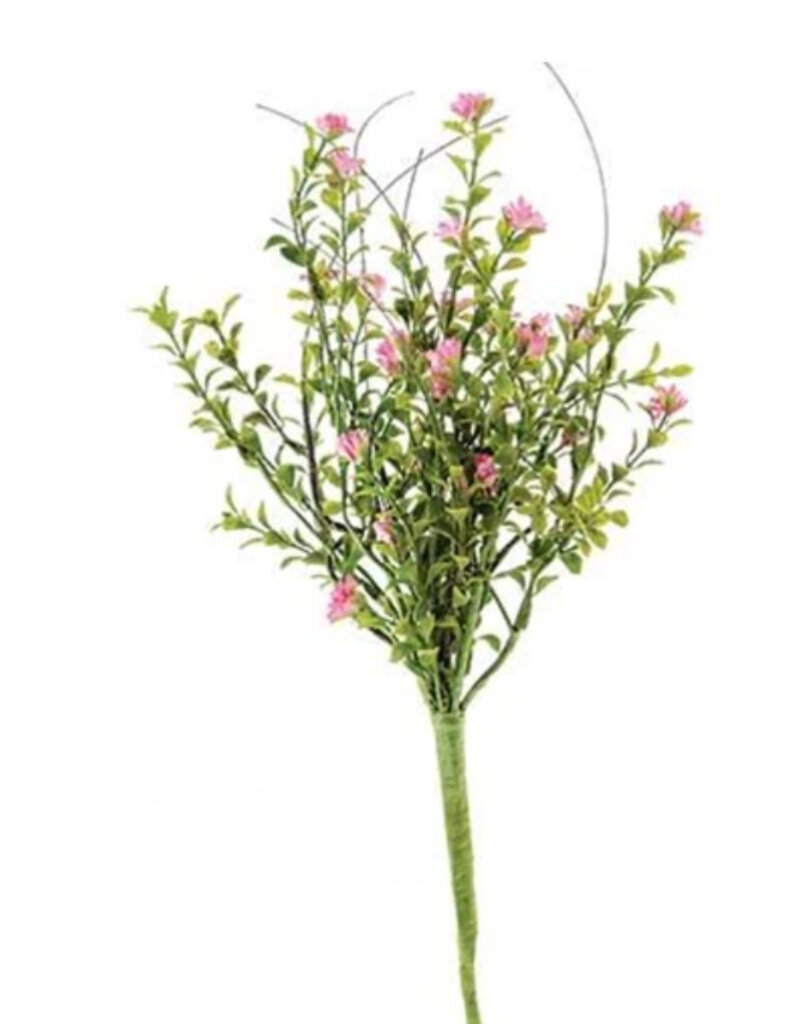 Bayberry Bush, 16"