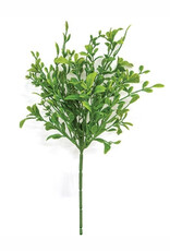Evergreen English Boxwood Pick, 13"
