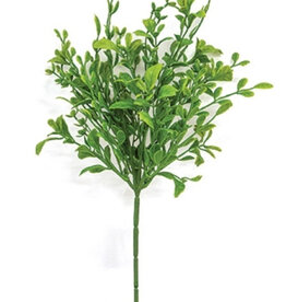 Evergreen English Boxwood Pick, 13"