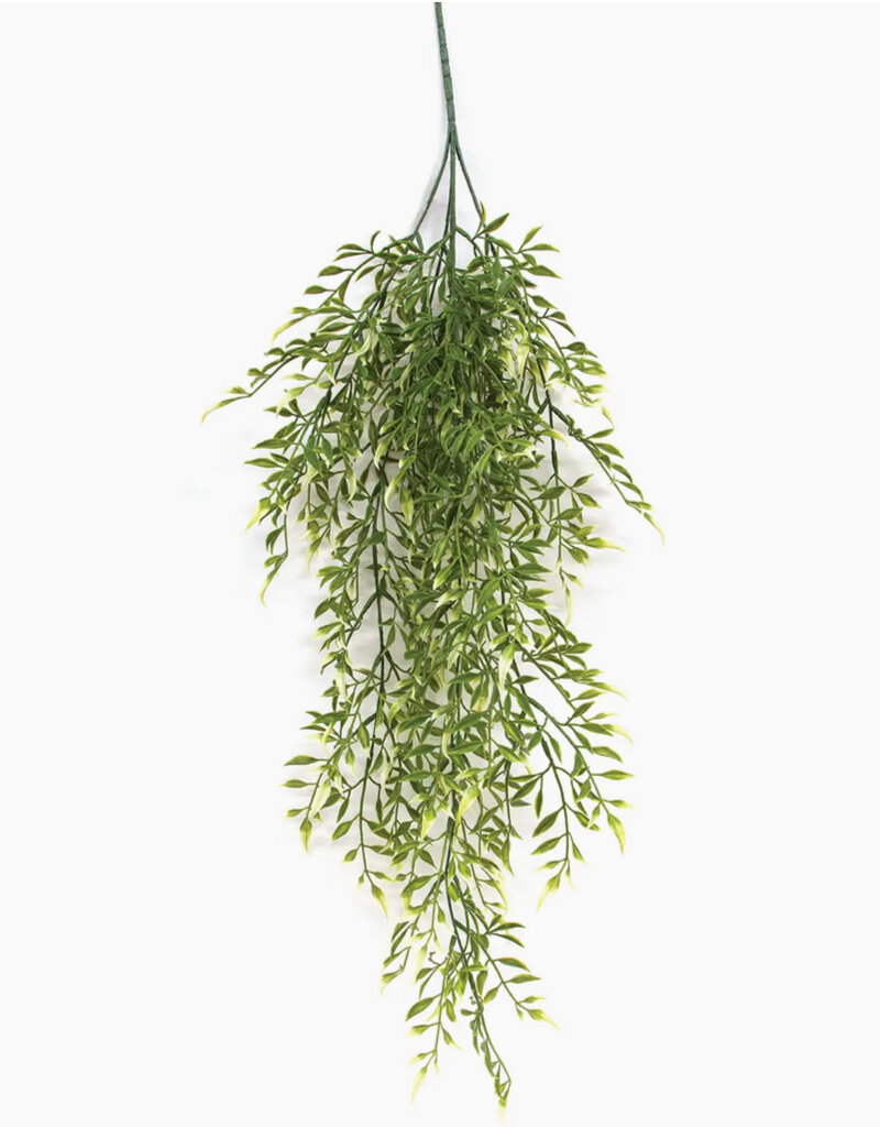 Cream Tipped Smilax Hanging Bush, 33"