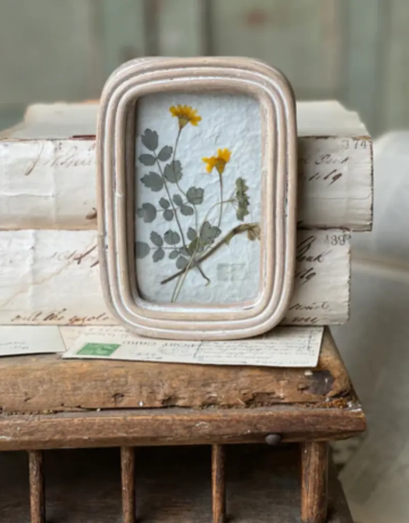 Wakefield Mini Botanical