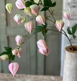 33" Lamplighter Buds, Blush