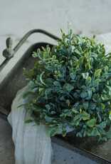 7" English Boxwood Half Ball