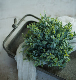 7" English Boxwood Half Ball