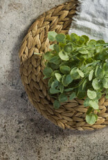 14.5" GREEN POPLAR LEAF BUSH