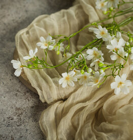 25.5" WHITE WINTER DAPHNE SPRAY