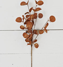 12" Bush, Foamy Silver Dollar leaves, Coffee