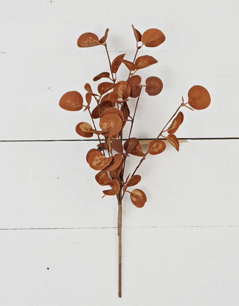 12" Bush, Foamy Silver Dollar leaves, Coffee
