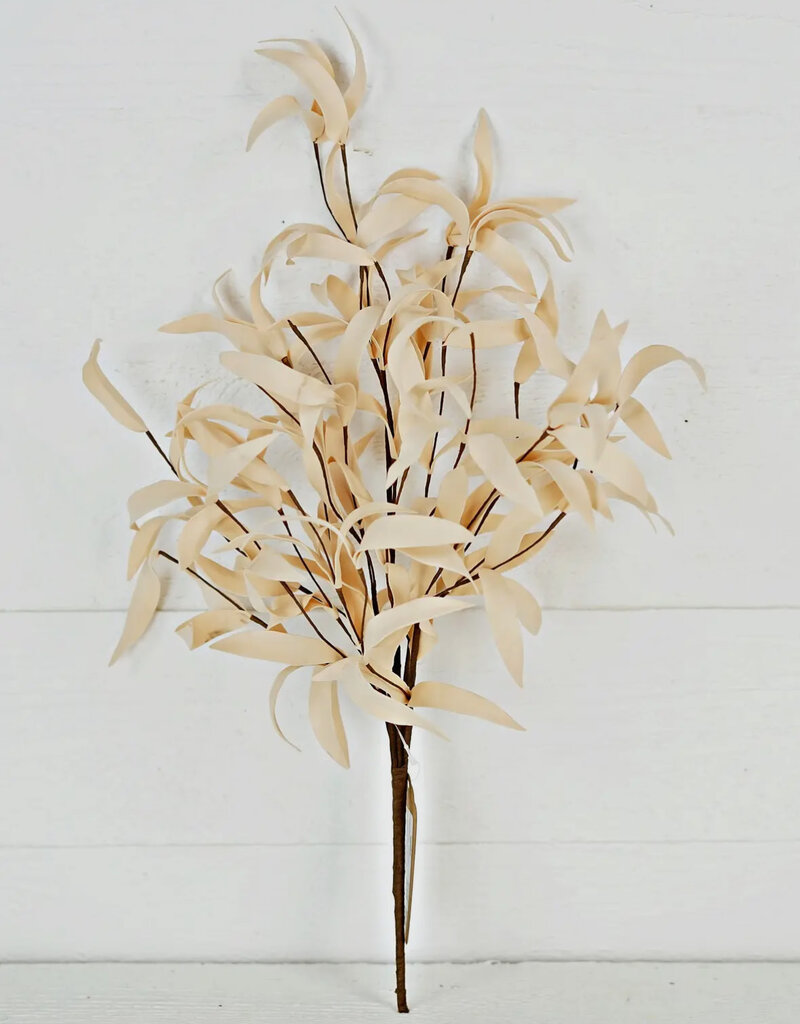 24" Buttercup Herb Leaves Bush