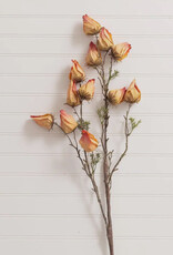 Chinese Lantern Spray (Yellow,Pink)