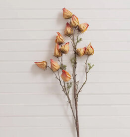 Chinese Lantern Spray (Yellow,Pink)