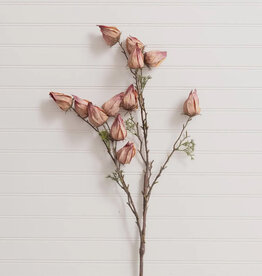 Chinese Lantern Spray (Purple)