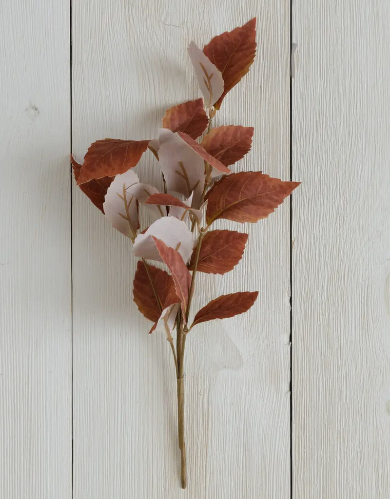 Brown Fall Leaves
