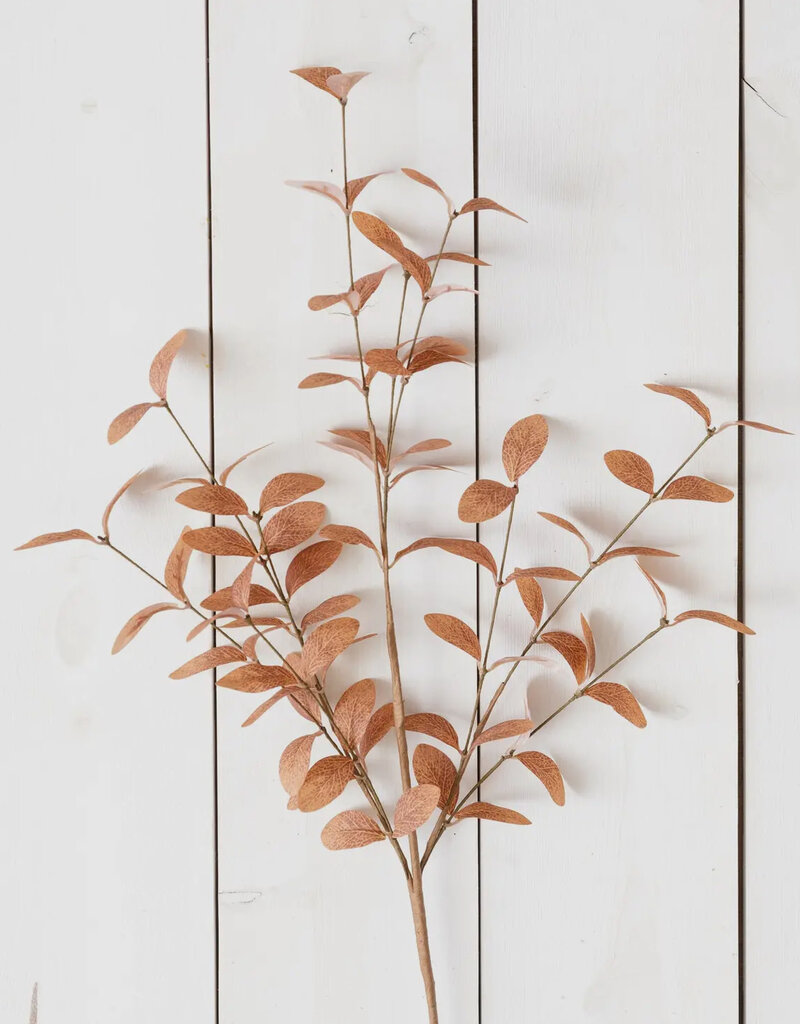 Cocoa Fall Foliage